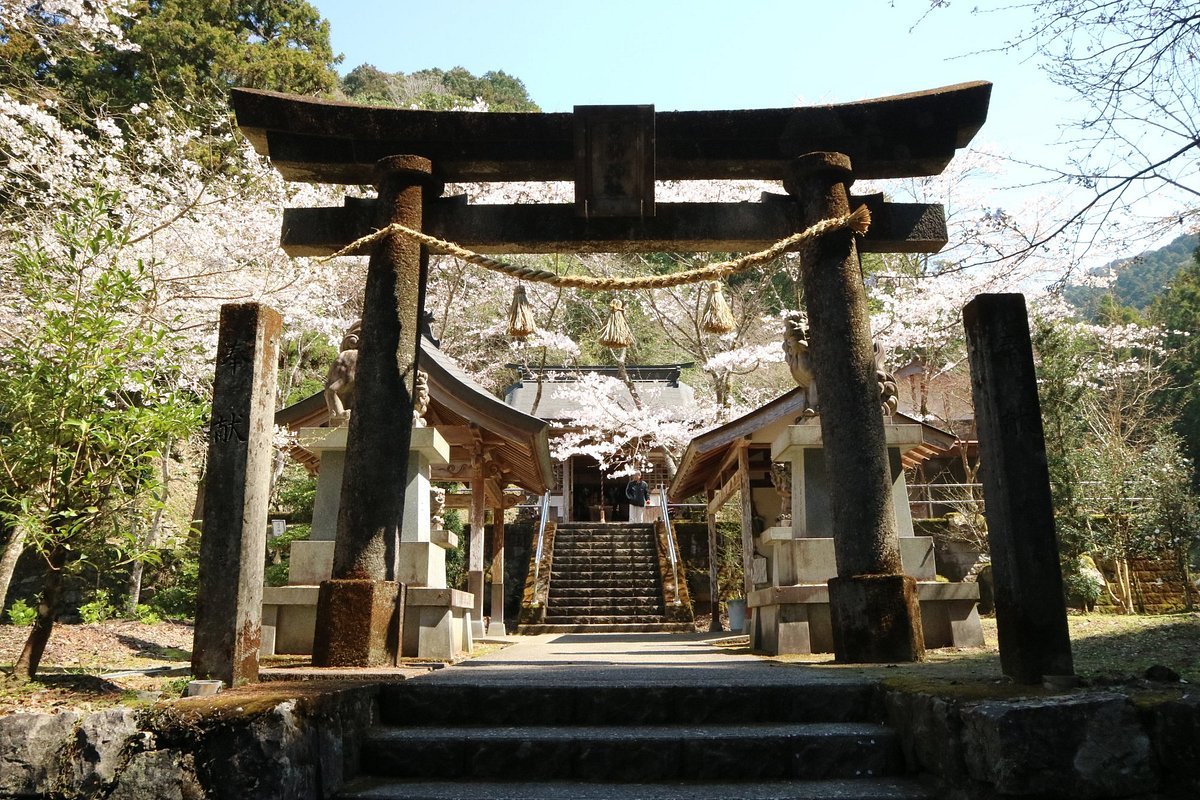 ⛩️ 쿤테키 신사(쿤테키 진자) 이미지 9